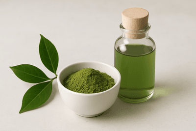 Grüner Tee Extrakt – Wirkung, Anwendung und was du wissen solltest